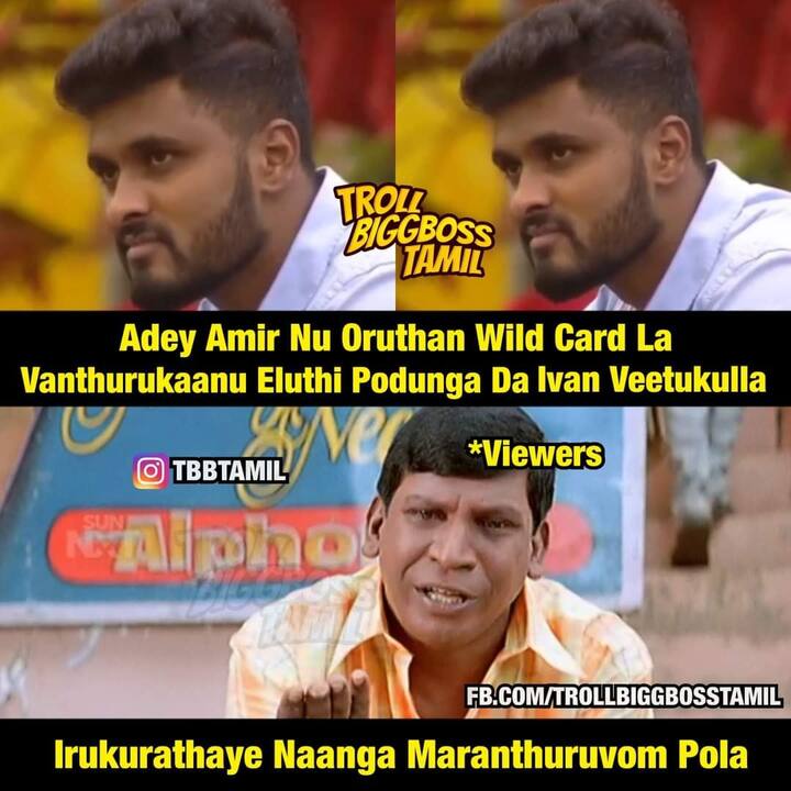 ஆமாம்யா ஆமாம்!