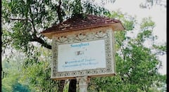 Birbhum: শীত পড়তেই শান্তিনিকেতনে বাড়ছে পর্যটকদের ভিড়