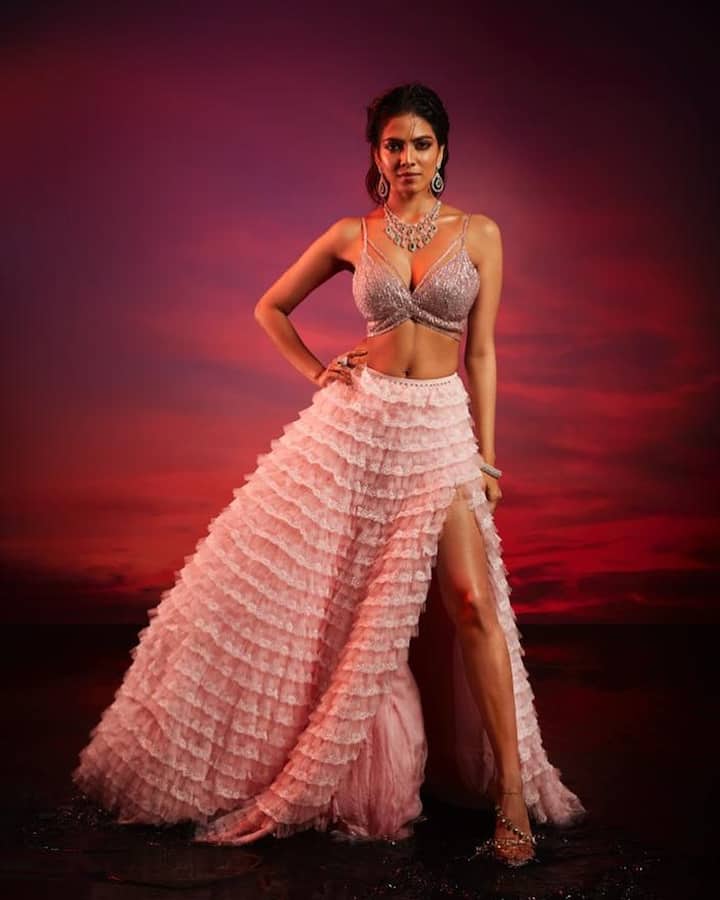 మాళవిక మోహనన్ లేటెస్ట్ ఫొటోస్ (Photo Courtesy:Instagram)