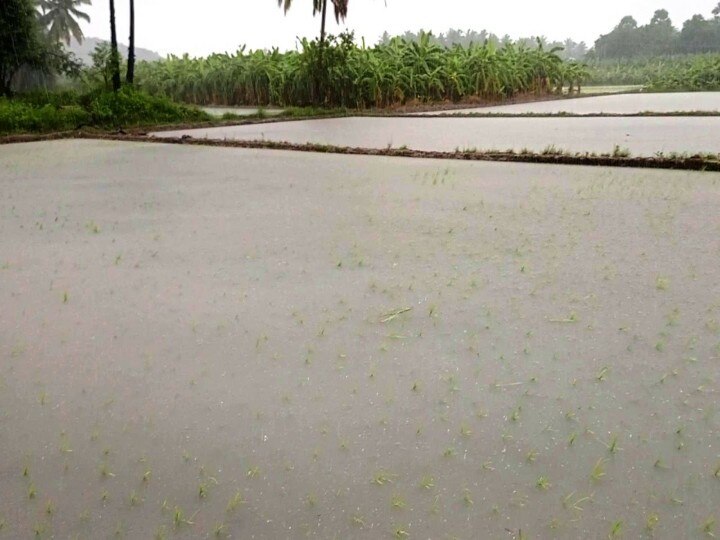 நெல்லை மாவட்டம் களக்காடு, நாங்குநேரி பகுதிகளில் மழையால் ஏற்பட்டுள்ள பாதிப்புகள்..