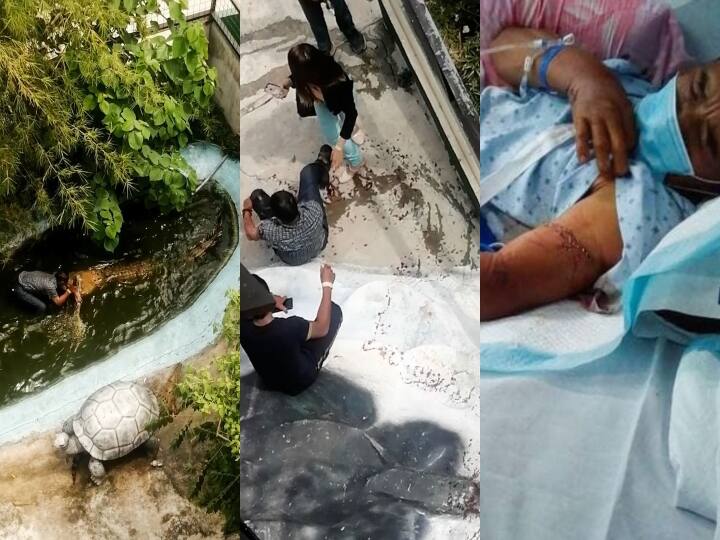 Tourists in Philliphines Amusement park gets bitten by crocodile when he went to take selfie mistakenly as plastic item ப்ளாஸ்டிக் முதலை என நினைத்து செல்ஃபி எடுக்கப்போன பயணி.. முதலையின் கொடூர ரியாக்‌ஷனால் அதிர்ந்த பூங்கா..