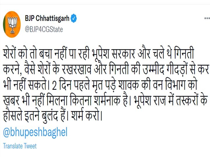 Chhattisgarh News: छत्तीसगढ़ में शावक की मौत, BJP ने गीदड़ से कर दी बघेल सरकार की तुलना