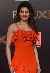 Urvashi Rautela Soulmate: ਓਰਵਸ਼ੀ ਰੌਤੇਲਾ ਨੇ ਆਪਣੀ ਸੋਲਮੇਟ ਦਾ ਖੁਲਾਸਾ ਕੀਤਾ, ਇੰਸਟਾਗ੍ਰਾਮ 'ਤੇ ਕੀਤੀ ਖਾਸ ਪੋਸਟ