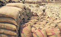 Kamareddy రైతుల ప్రాణాలు పోతున్న పట్టింపు లేదు, మందకోడిగా ధాన్యం కొనుగోళ్లు