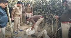 Raebareli News: जंगल में बना रहे थे अवैध शराब, पहुंच गई आबकारी विभाग की टीम, 130 लीटर शराब बरामद