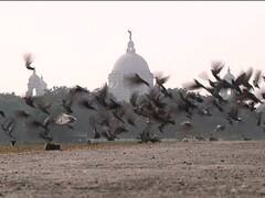 Weather Update: ফের নামল তাপমাত্রার পারদ, রাজ্যজুড়ে শীতের আমেজ