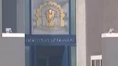 ફટાફટ: લાયન સફારીના નામે સિંહોની પજવણી મામલે ગુજરાત હાઇકોર્ટની ગંભીર નોંધ, જુઓ ગુજરાતી ન્યુઝ