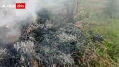 Srikakulam Farmers: శ్రీకాకుళం జిల్లాలో రైతన్నల దీనస్థితికి ఈ ఘటనే ఉదారహణ