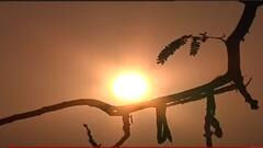 ABP News ABP News