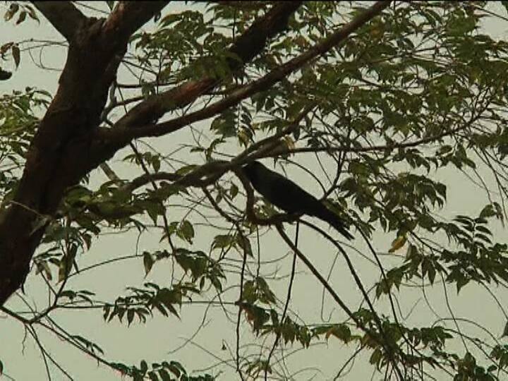 নামতে শুরু করেছে পারদ, ঘাসের ডগায় শিশির আর কুয়াশা মোড়া ভোর জানান দিচ্ছে, শীত আসছে।