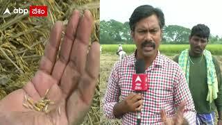 శ్రీకాకుళం జిల్లా : కళ్ళముందే నీట మునిగిపోవడంతో ఆందోళన చెందుతున్న రైతులు