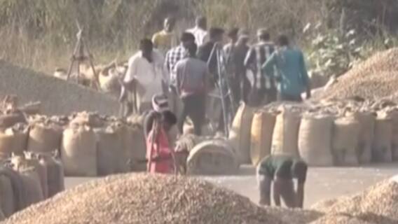 રાજકોટ: બેડી માર્કેટ યાર્ડમાં એક જ રાતમાં 3200 ટન મગફળીની આવક, જુઓ ગુજરાતી ન્યુઝ