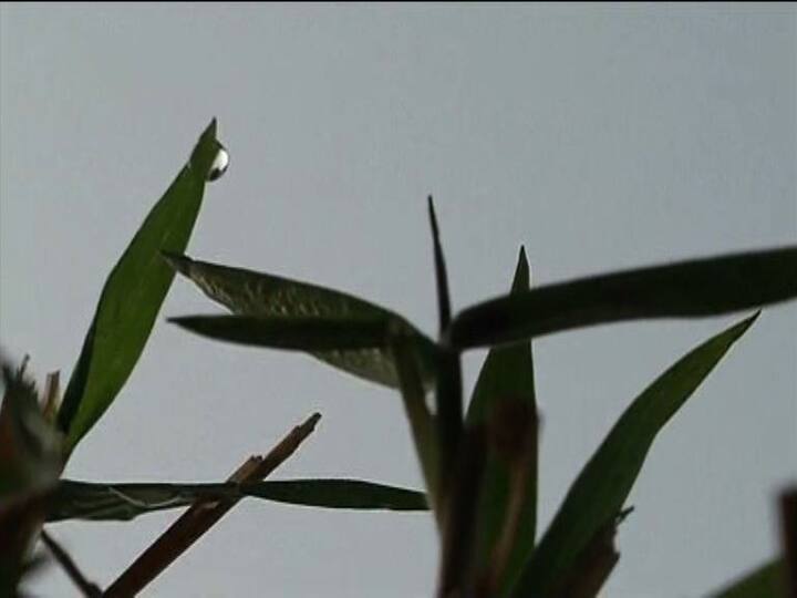 কুয়াশার চাদর, লেপের আদর, আর ধোঁয়া ওঠা চায়ের কাপে চুমুক, দোরগোড়ায় হাজির শীত।