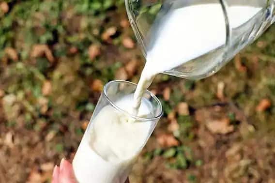 Health Benefits Of Ghee In Hot Milk Good For Bones And Joint Pain In Winter Winter Health Tips: सर्दियों में दूध में घी डालकर पीने से दर्द हो जाएगा छूमंतर, मिलेंगे ये गजब के फायदे