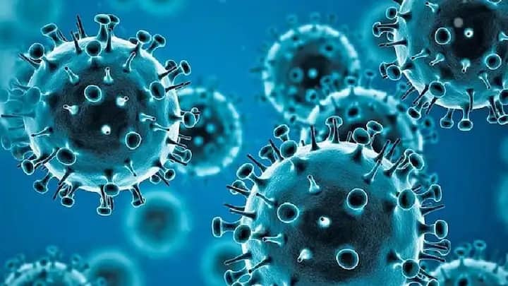 Coronavirus New Variant omicron new coronavirus variant now wreaking havoc across world new variant is more dangerous than delta Coronavirus new variant: ডেল্টার থেকেও বিপজ্জনক করোনার নয়া ভ্যারিয়েন্ট Omicron, জেনে নেওয়া যাক বিস্তারিত