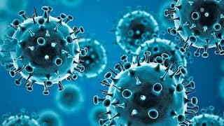 Coronavirus new variant: ডেল্টার থেকেও বিপজ্জনক করোনার নয়া ভ্যারিয়েন্ট Omicron, জেনে নেওয়া যাক বিস্তারিত