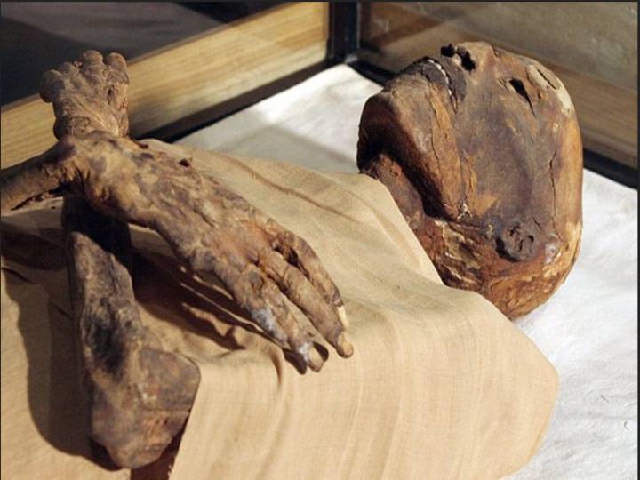 800-Year Old Mummy: கயிறால் கட்டப்பட்ட உடல்.. 800 ஆண்டுகள் பழமையான மம்மி கண்டுபிடிப்பு! தொடரும் ஆய்வு!