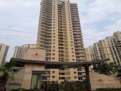 Noida Child Death: नोएडा की डेसनेक सोसायटी में खेलते-खेलते 10वीं मंजिल से गिरा 3 साल का बच्चा, हुई मौत