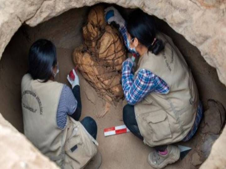 800-Year Old Mummy: கயிறால் கட்டப்பட்ட உடல்.. 800 ஆண்டுகள் பழமையான மம்மி கண்டுபிடிப்பு! தொடரும் ஆய்வு!