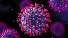 Corona New Variant: ওমিক্রন নিয়ে সমস্ত রাজ্য-কেন্দ্রশাসিত অঞ্চলকে চিঠি কেন্দ্রীয় স্বাস্থ্যসচিব | Bangla News