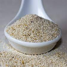 Poppy Seeds Health Benefits: ਬੜੇ ਕਮਾਲ ਦੀ ਚੀਜ਼ ਖਸਖਸ, ਫਾਇਦੇ ਜਾਣ ਕੇ ਹੋ ਜਾਓਗੇ ਹੈਰਾਨ