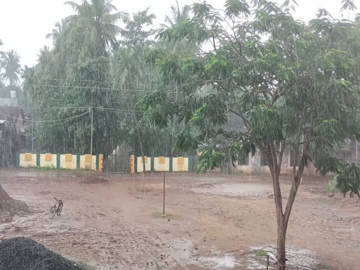 thiruvarur district heavy rain school leave announcement திருவாரூர் : தொடர்ந்து 4-வது நாளாக கனமழை.. நாளை பள்ளிகளுக்கு விடுமுறை அறிவிப்பு..