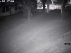 Kanpur News: कॉलेज में तेंदुआ घुसने से मचा हड़कंप, वन विभाग और पुलिस की टीम ड्रोन कैमरे से कर रही तलाश