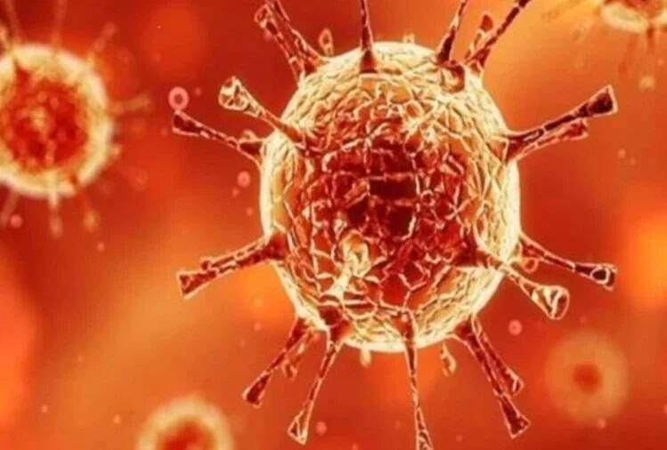 Owing to Corona's new variant Omicron gujtat govrment  makes RT PCR test mandatory for nine  country tourist, find out what the new rules are કોરોનાના નવા વેરિયન્ટ ઓમિક્રોનના કારણે આ લોકો માટે RT PCR ટેસ્ટ ફરજિયાત, જાણો શું ઘડાયા નવા નિયમ