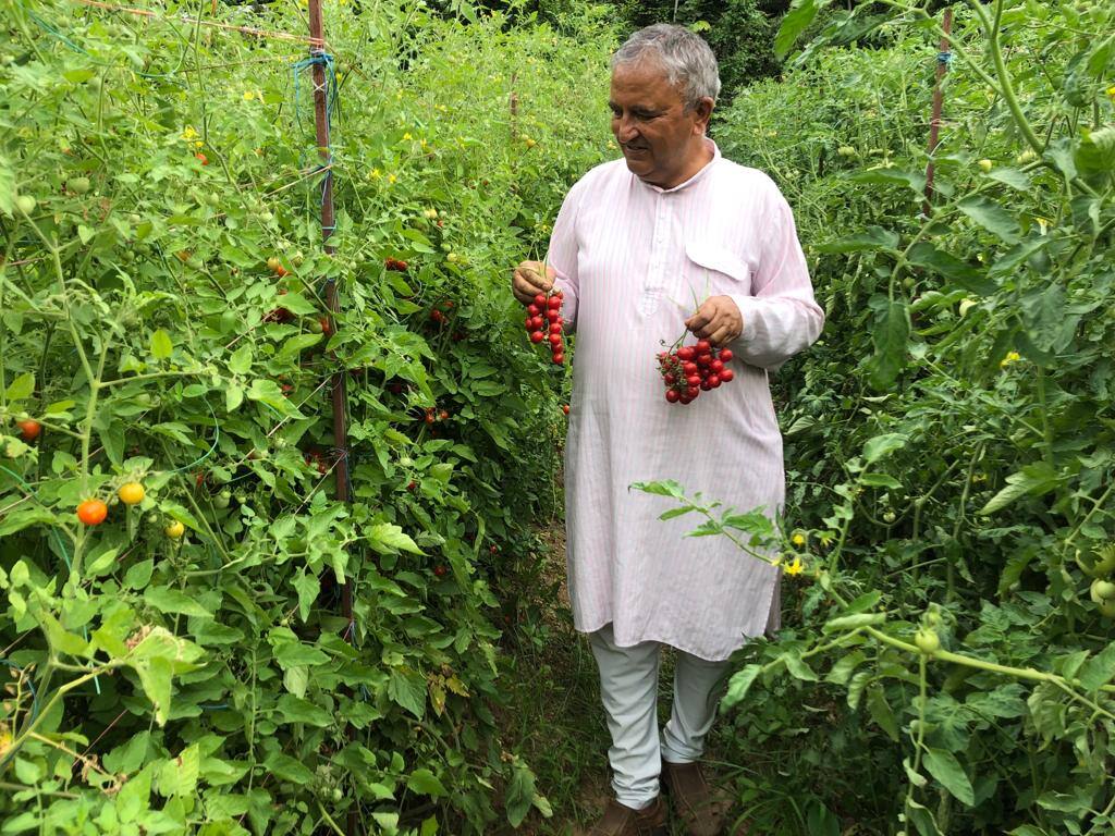 Premchand Sharma of Dehradun farmer who received Padma Shri wrote a new chapter in the field of agriculture and horticulture ANN Padma Award: खेती किसानी के बूते पद्मश्री प्राप्त करने वाला एक पहाड़ी, जानिए कौन हैं पांचवीं तक पढ़े प्रेमचंद शर्मा