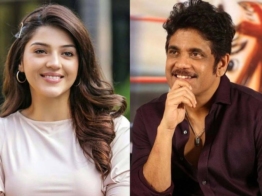 Mehreen to pair up with Nagarjuna Nagarjuna: సీనియర్ హీరోతో మెహ్రీన్.. భారీ రెమ్యునరేషన్ గుంజేస్తోంది..