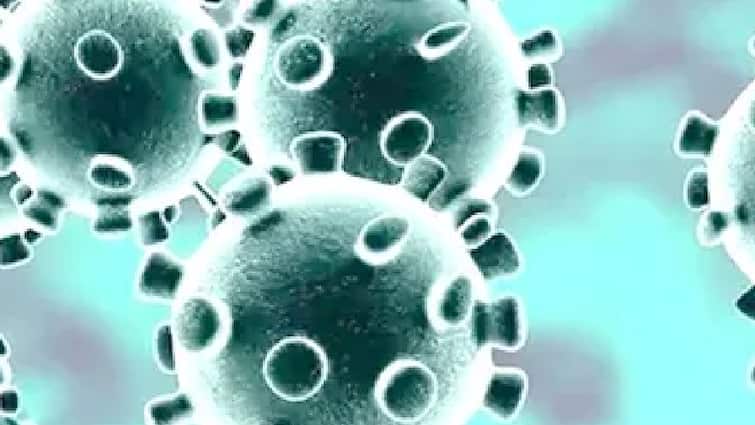 Varian Baru Virus Corona: Ilmuwan Afrika Selatan Khawatir dengan Gelombang Infeksi yang Timbul dari Varian Omicron Covid-19