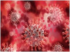 Mathura News: मथुरा में तीन विदेशी पर्यटक पाए गए कोरोना संक्रमित, संपर्क में आए सभी के नमूने जांच के लिए भेजे गए