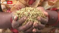 Kadapa Floods: వరదలు నిండా ముంచాయి... కడప జిల్లా రైతుల ఆవేదన