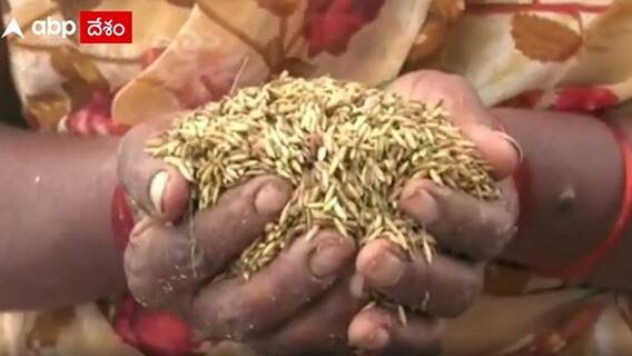 Kadapa Floods: వరదలు నిండా ముంచాయి... కడప జిల్లా రైతుల ఆవేదన