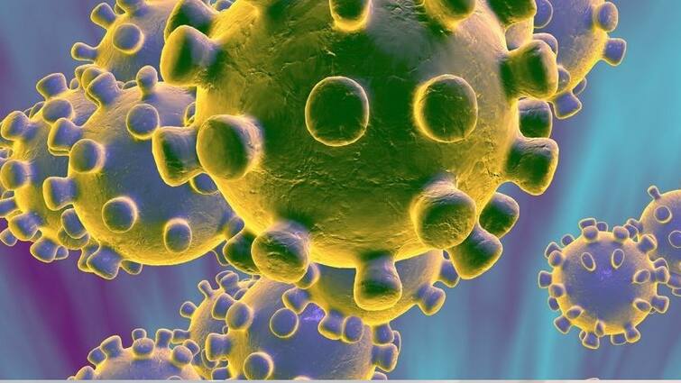 'Virus Has Further Adapted to Human Species': First Image of Omicron Shows More Mutations Than Delta Corona New Variant: 'ਓਮੀਕਰੋਨ' ਕੋਵਿਡ ਵੇਰੀਐਂਟ ਦੀ ਪਹਿਲੀ ਤਸਵੀਰ ਆਈ ਸਾਹਮਣੇ, ਡੈਲਟਾ ਨਾਲੋਂ ਕਈ ਹੋਰ ਪਰਿਵਰਤਨ ਦਿਖਾਉਂਦੀ