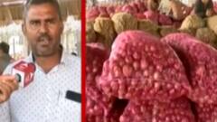 સૌરાષ્ટ્રમાં ડુંગળીએ રડાવ્યો ખેડૂતને, 15 દિવસમાં ભાવમાં કેટલો થયો ઘટાડો?