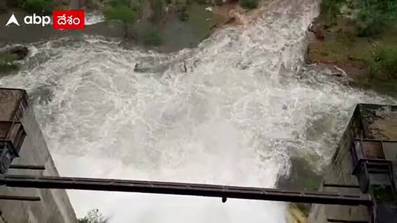 PABR Dam Gates: 1000 క్యూసెక్కుల నీరు దిగువకు విడుదల