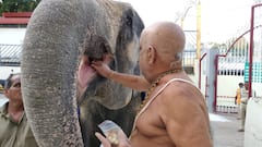 In Pics: డాలర్ శేషాద్రి లేని వీఐపీ ఫోటోనే ఉండదు.. రాష్ట్రపతి నుంచి సీజేఐ దాకా.. అరుదైన ఫోటోలు