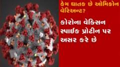 કોરોના નવા વેરિયન્ટ ઓમિક્રોન અંગે USAના ડોક્ટર ધીરજ કૌલે શું કહ્યું, જુઓ ગુજરાતી ન્યૂઝ