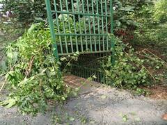 Kanpur News: कानपुर के रिहायशी इलाके में तेंदुआ घुसने से फैली दहशत, वन विभाग ने शुरू किया सर्च अभियान