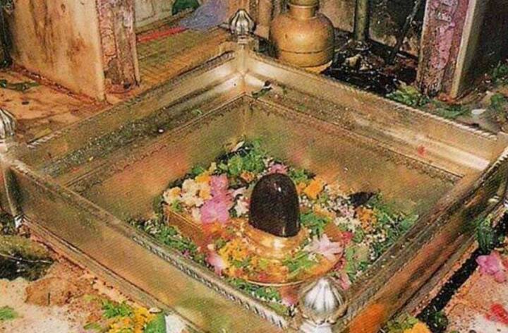 आपको जानकर खुशी होगी कि मंदिर में पूरे एक महीने तक धर्म, अध्‍यात्‍म, कला और संस्‍कृति कार्यक्रम किए जाएंगे. लोकार्पण के दिन पीएम मोदी के साथ कई प्रमुख धर्माचार्य भी मंच साझा करने वाले हैं, इसके सथ ही मंदिर में बहुत ही खास तैयारियां भी की गई है.