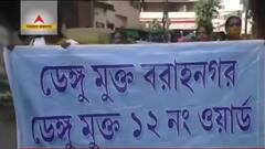 Dengue: বরানগরে ডেঙ্গি মোকাবিলায় তৃণমূল কোঅর্ডিনেটরের প্রচার। Bangla News