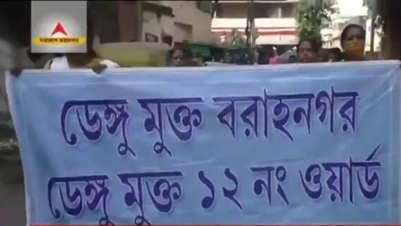 Dengue: বরানগরে ডেঙ্গি মোকাবিলায় তৃণমূল কোঅর্ডিনেটরের প্রচার। Bangla News