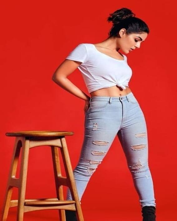 హాట్ & క్యూట్ భీమ్లానాయక్ బ్యూటీ
