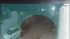 ગીર સોમનાથઃ આ ગામમાં એક સાથે પાંચ સિંહ મારી રહ્યા હતા લટાર, જુઓ સીસીટીવી ફુટેજ