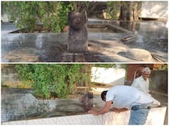 छत्तीसगढ़ में इस जगह है कुत्ते का मंदिर, जानिए क्यों यहां पूजा करने दूर-दूर से आते हैं लोग