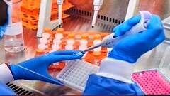 TOP 25 : टॉप 25 न्यूज बुलेटिन : 29 नोव्हेंबर 2021 : ABP Majha