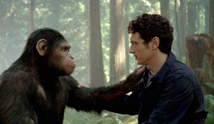 Study Shows Monkeys, Humans Produce Same Brain Responses To Speech Sounds அட.! குரங்கு நம்ம பையன்தானா?  எவ்ளோ ஒற்றுமை பாருங்க.! கண்டுபிடித்த விஞ்ஞானிகள்!