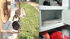 Burdwan: বাড়ি ফাঁকা থাকলেই চুরি, দেড় মাসে সর্বস্বান্ত বর্ধমানবাসী