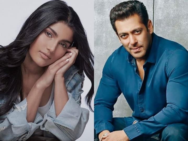 Salman khan is going to launch his niece Alizeh in bollywood and will announce the movie next month Alizeh Bollywood Debut: भांजी Alizeh को बॉलीवुड में लॉन्च करने जा रहे हैं Salman Khan, अगले महीने करेंगे फिल्म का ऐलान